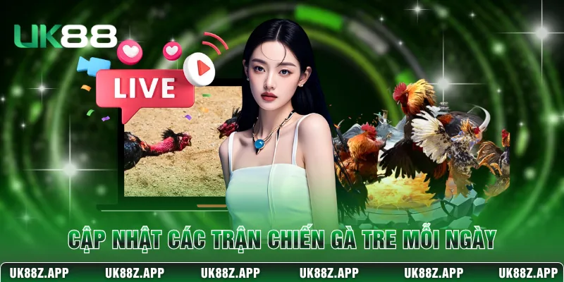 Cập nhật các trận chiến gà tre mỗi ngày
