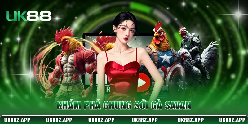 Khám phá chung sới gà Savan