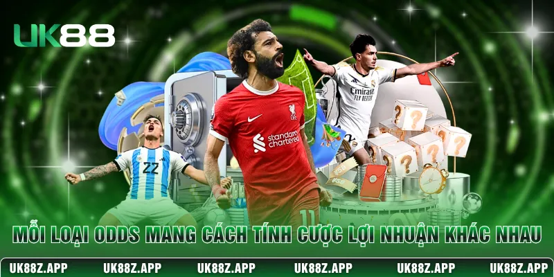 Mỗi loại odds mang cách tính cược và lợi nhuận khác nhau 