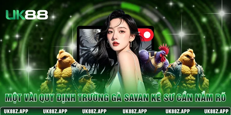 Một vài quy định trường gà Savan kê sư cần nắm rõ