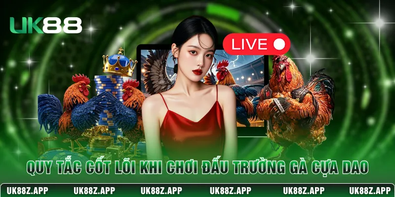 Quy tắc cốt lõi khi chơi đấu trường gà cựa dao