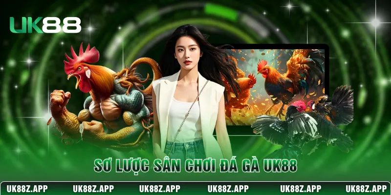 Sơ lược sân chơi đá gà UK88