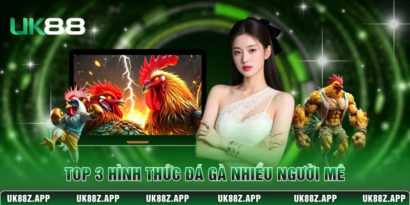 Top 3 hình thức đá gà nhiều người mê